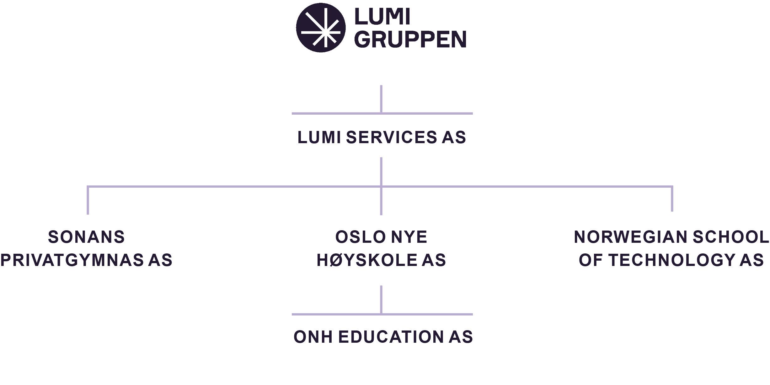 lumi-organisation
